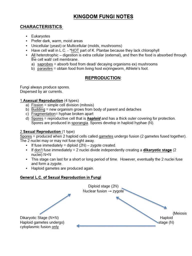 Kingdom Fungi NOTES | PDF | Fungus | Ploidy