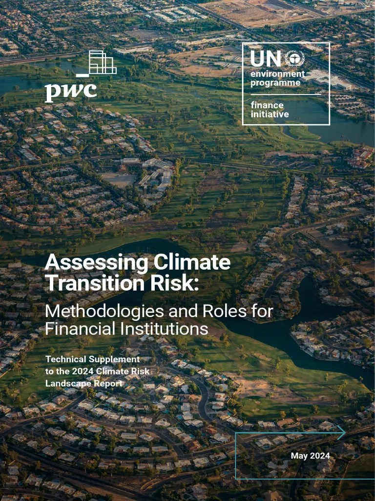 Assessing Climate Transition Risk Methodologies And Roles For Financial Institutions 1 | PDF