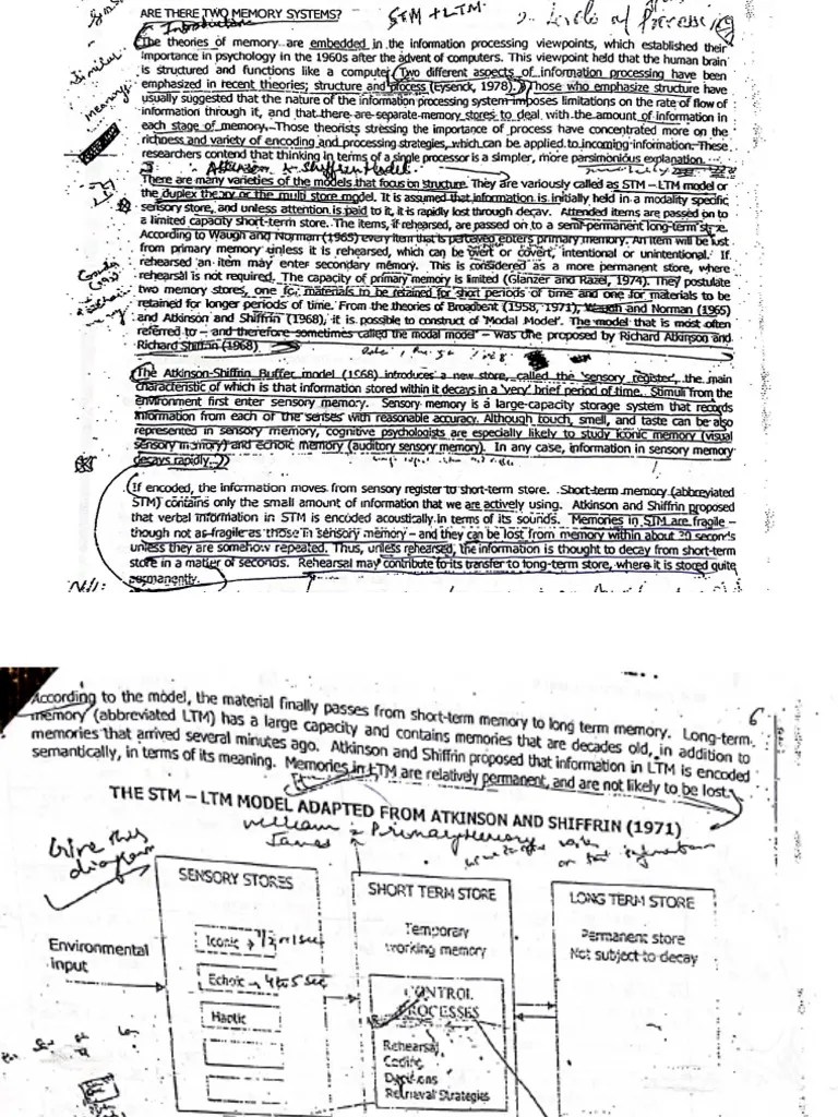 Atkinson Shiffrin Model (Memory) | PDF