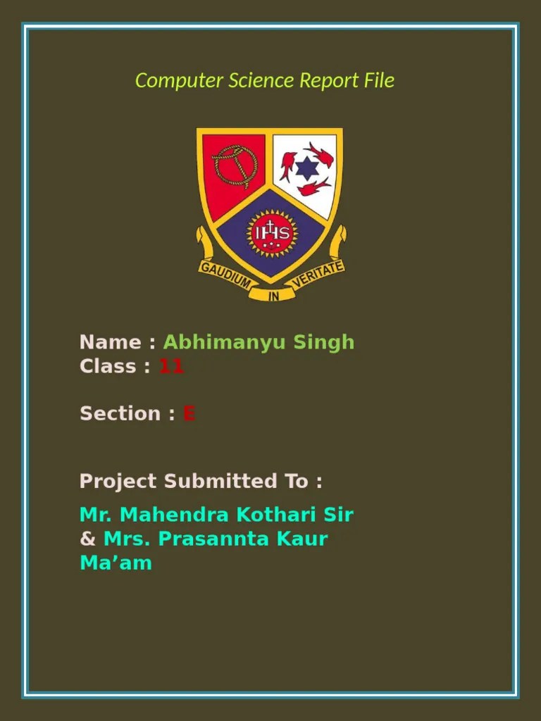 Computer Project Class 11 | PDF