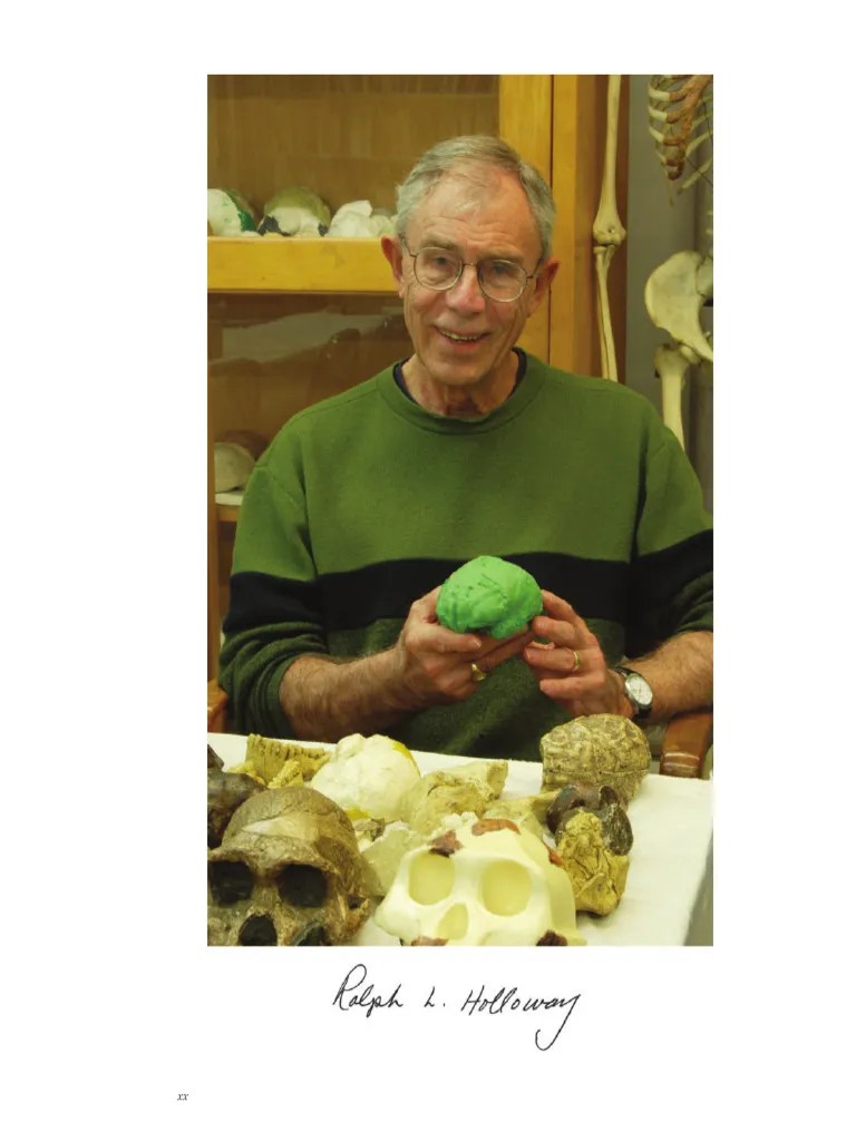 Human Brain Evolution 1 | PDF