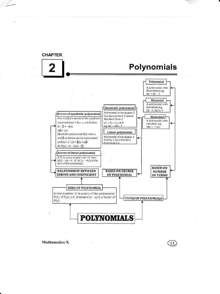 Polynomials Notes | PDF