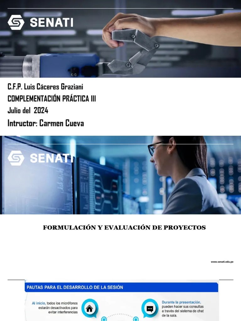 Formulación Y Evaluación De Proyectos Parte I | PDF