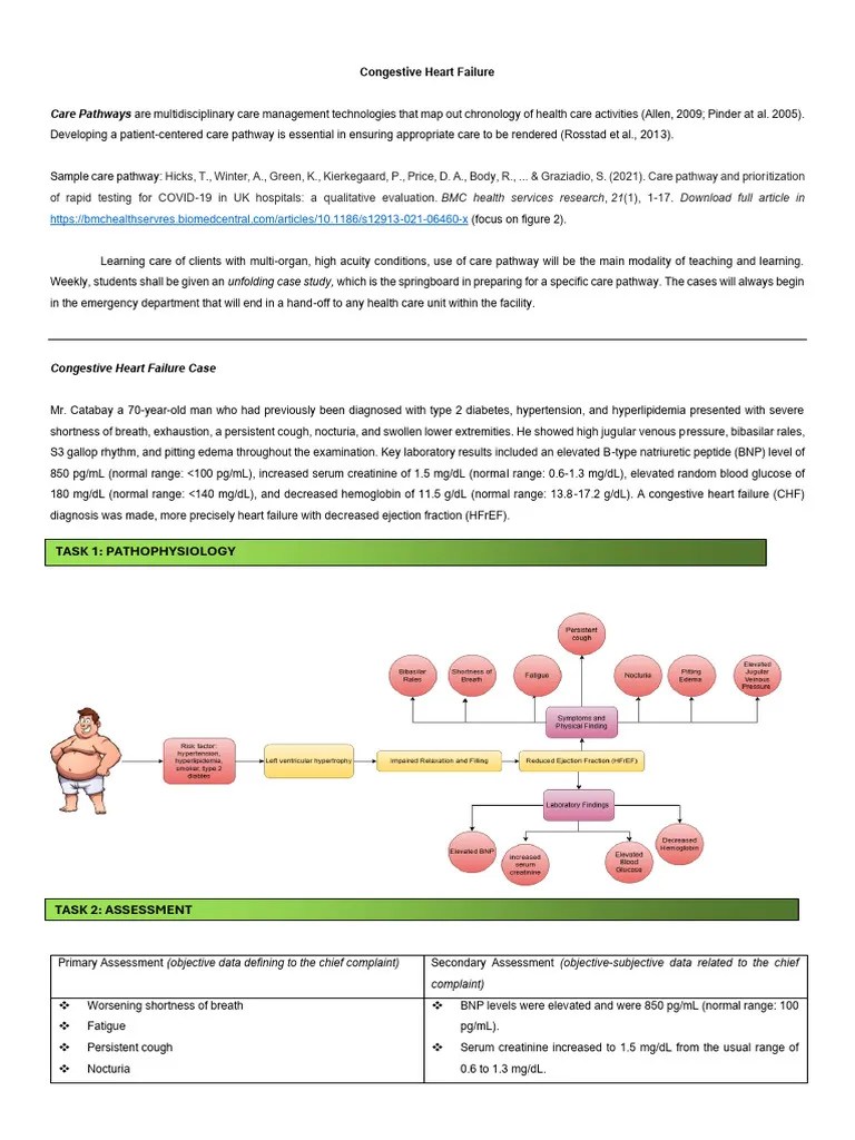 Congestive Heart Failure Carepathway | PDF | Heart Failure | Medical ...