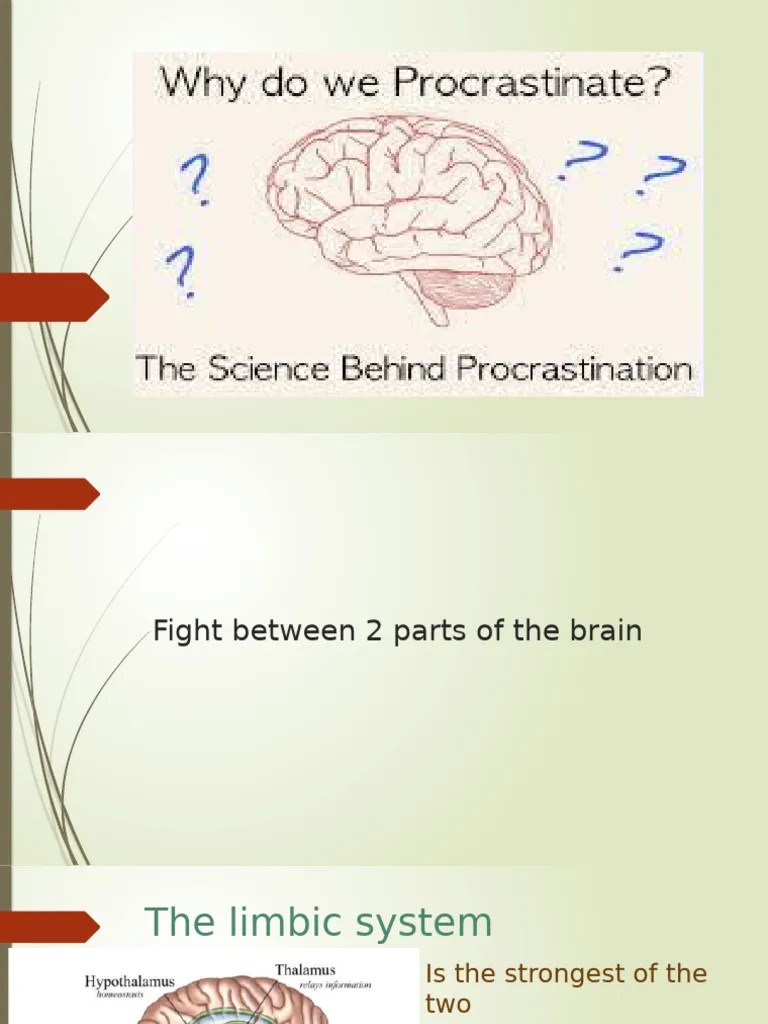 The Science Of Procrastination | PDF