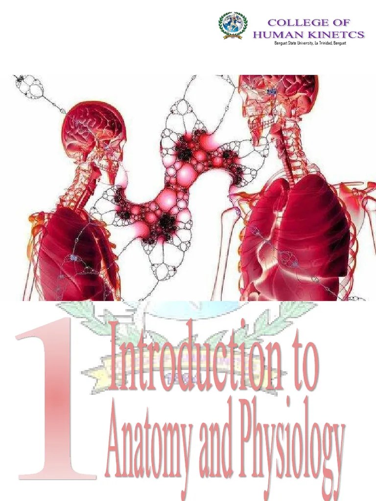 Chapter 1 Handout PDF | PDF