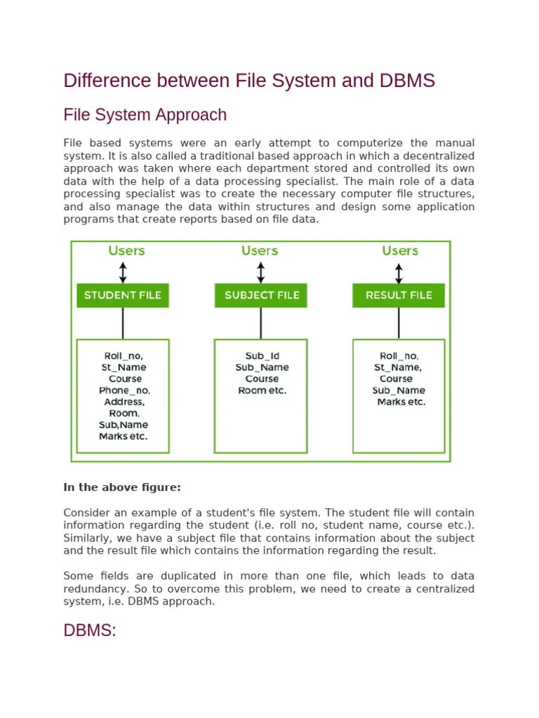 Difference Between File System And DBMS | PDF