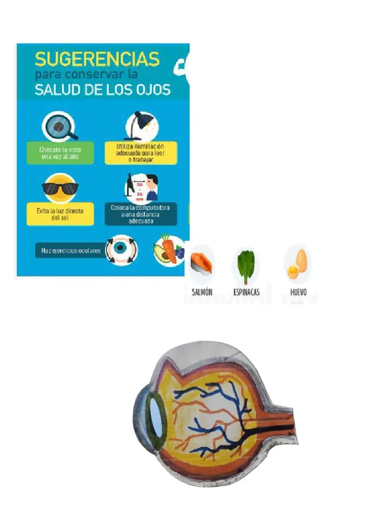 Sentidos De La Vista Y Su Cuidado | PDF