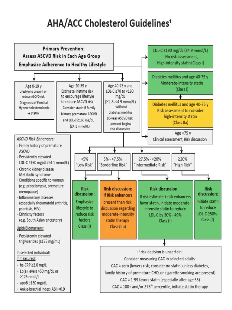 AHA ACC Cholesterol Guidelines | PDF