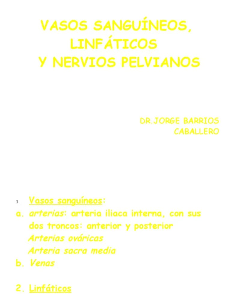 Vasos Sanguineos Y Nervios De La Pelvis | PDF