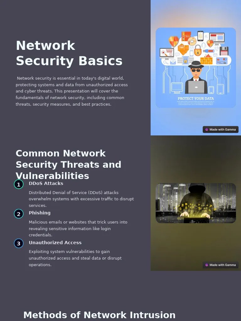 Network Security Basics | PDF