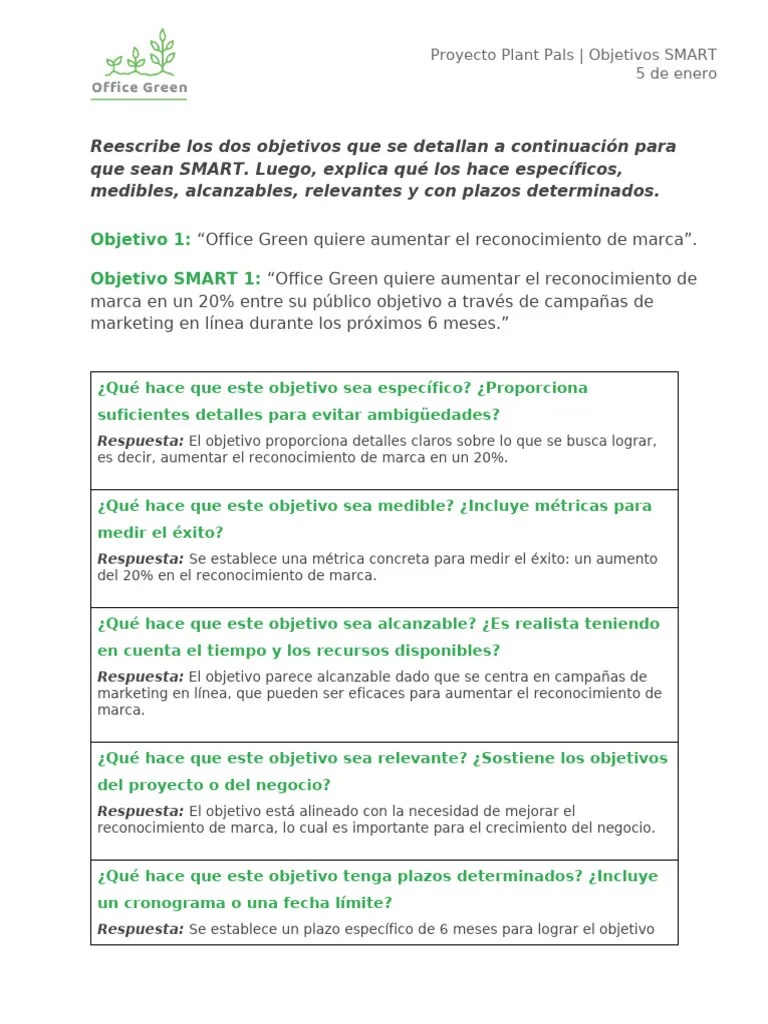 Objetivos SMART | PDF