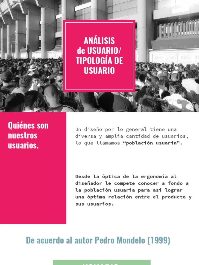 Analisis De Usuario Y Tipologia De Usuarios | PDF