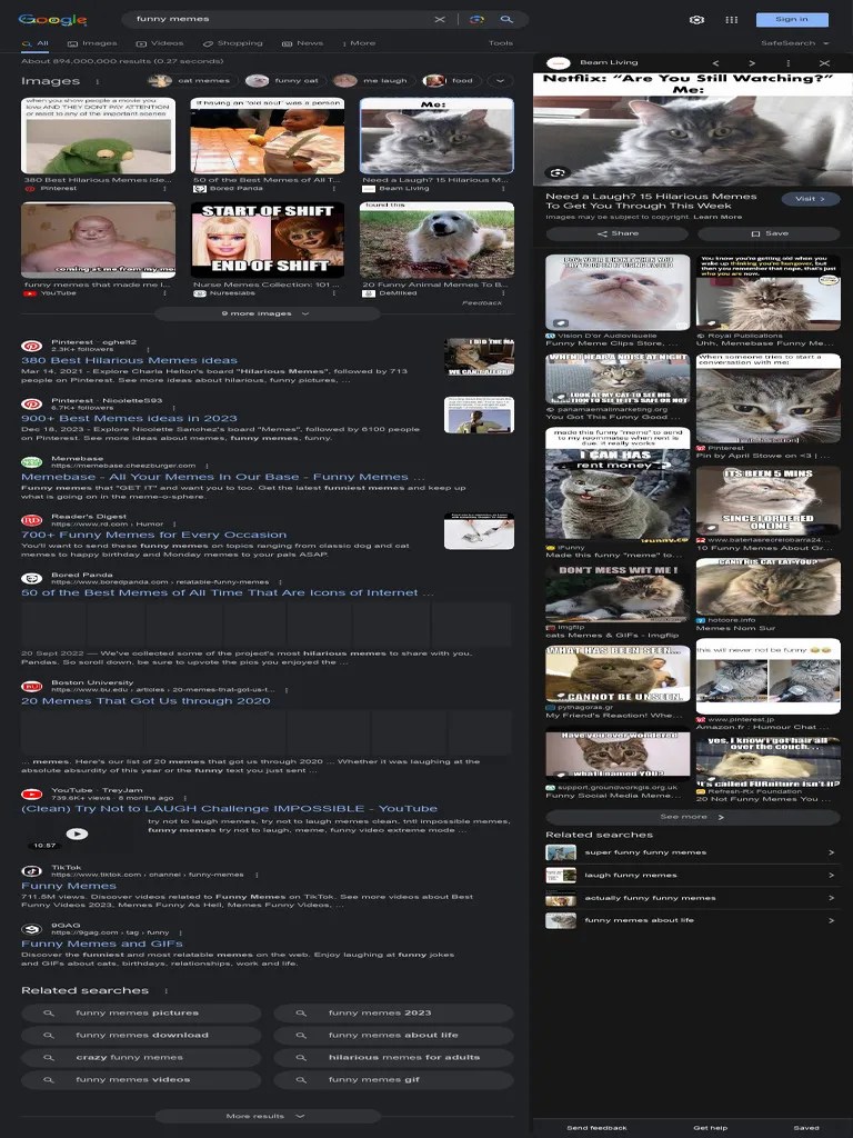 Funny Memes - Google Search | PDF