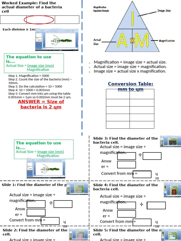 Magnification Calculation Help Sheet | PDF