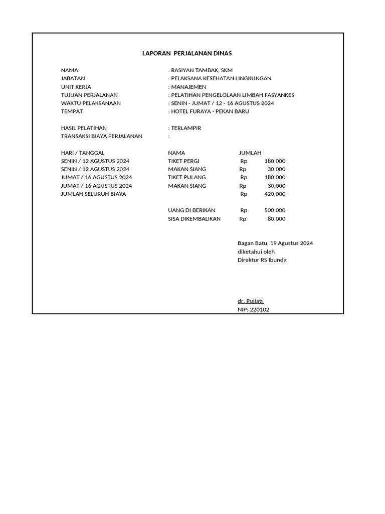 Laporan Biaya Perjalanan Dinas | PDF