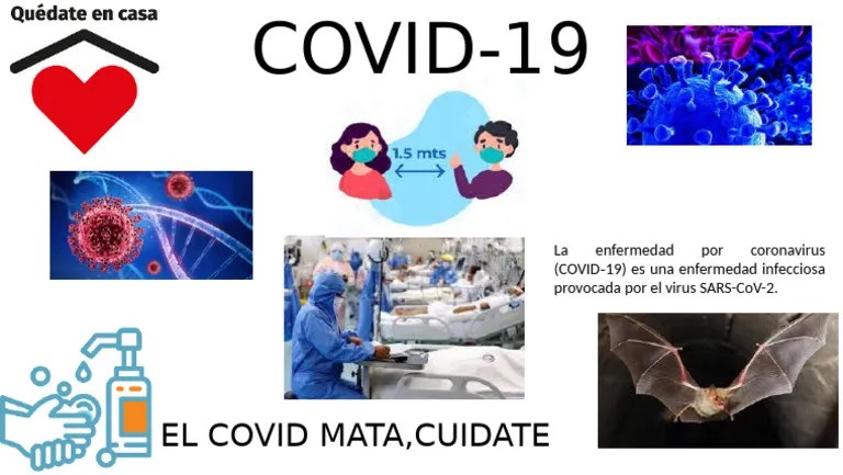 Infografia COVID-19 | PDF