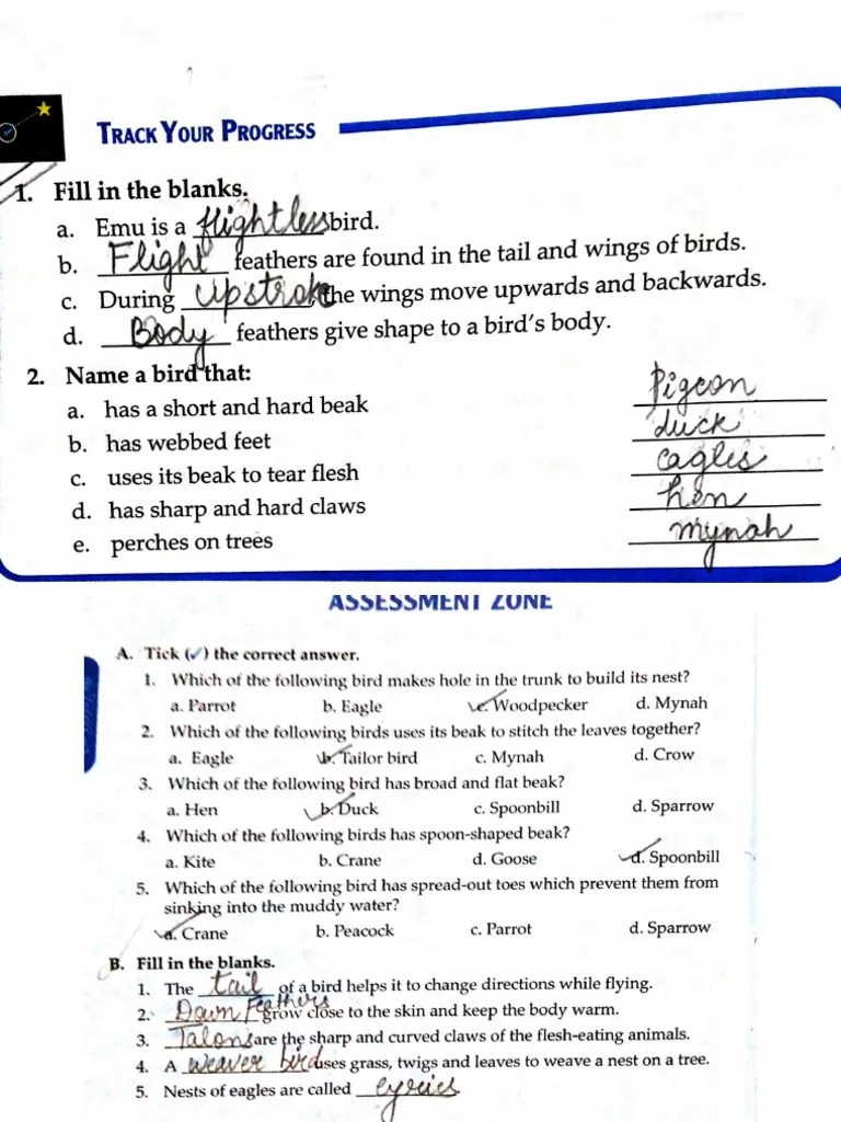 Science Chapter 4 Exercises Pdf