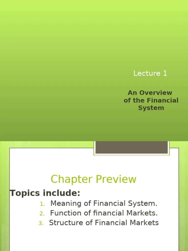 Lecture 1 Financial Markets | PDF