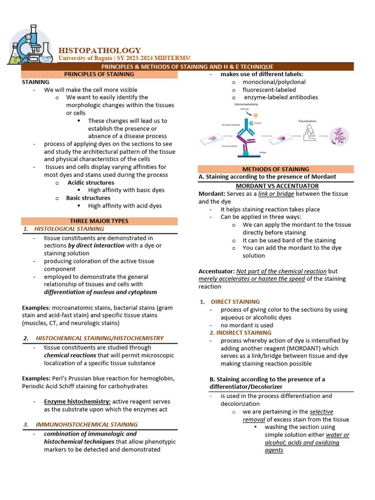 Staining Pdf