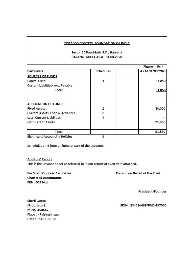 Ngo Financial Formate Pdf