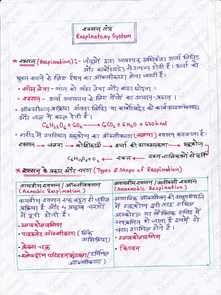 स्वसन तंत्र | PDF