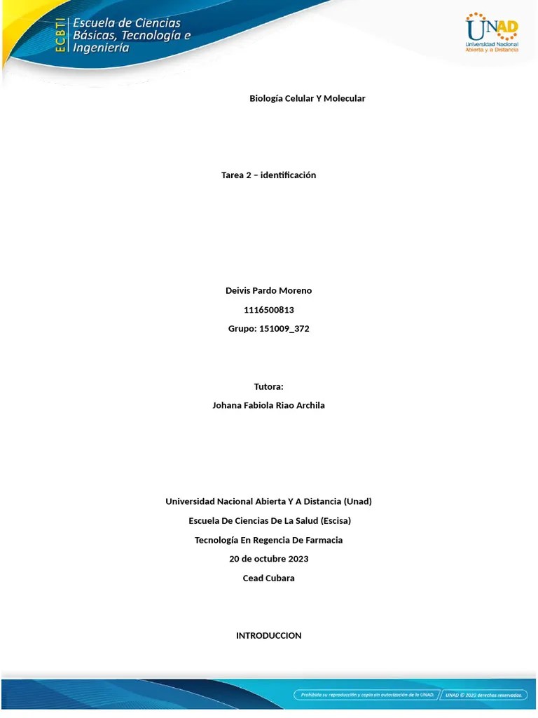 Fase 3 Identificacion | PDF