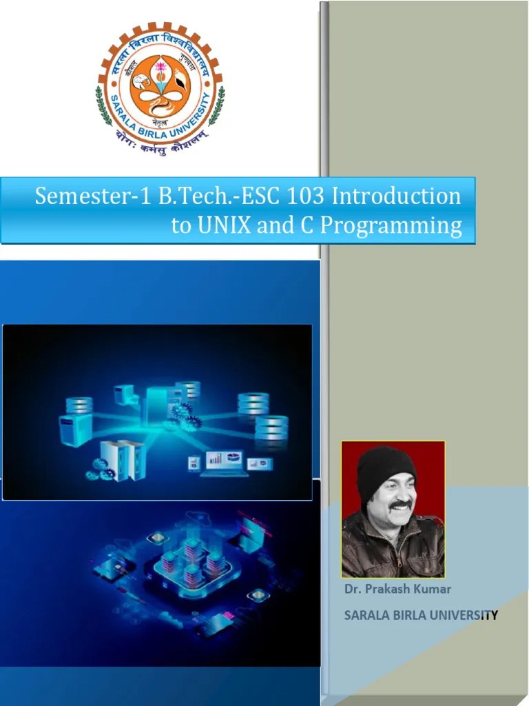 CProgramming_unit2 | PDF