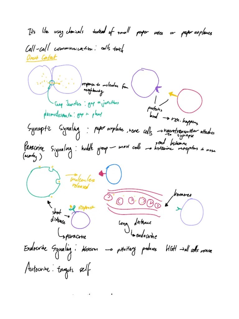 Cellular_Communication | PDF