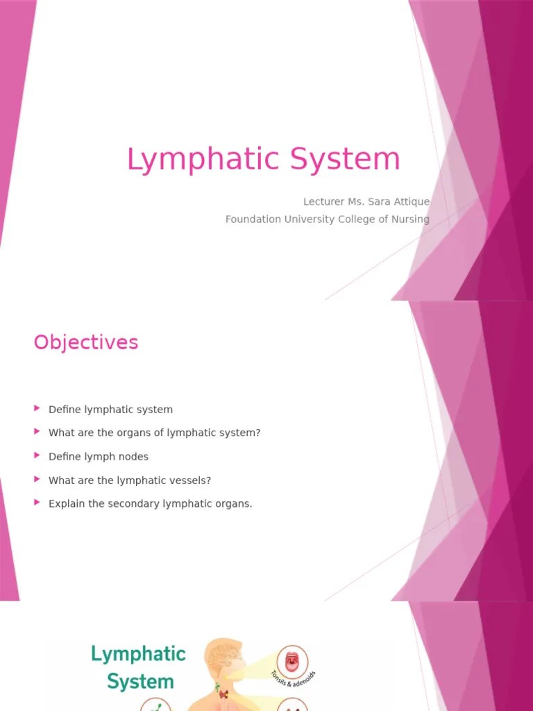 Lymphatic System | PDF
