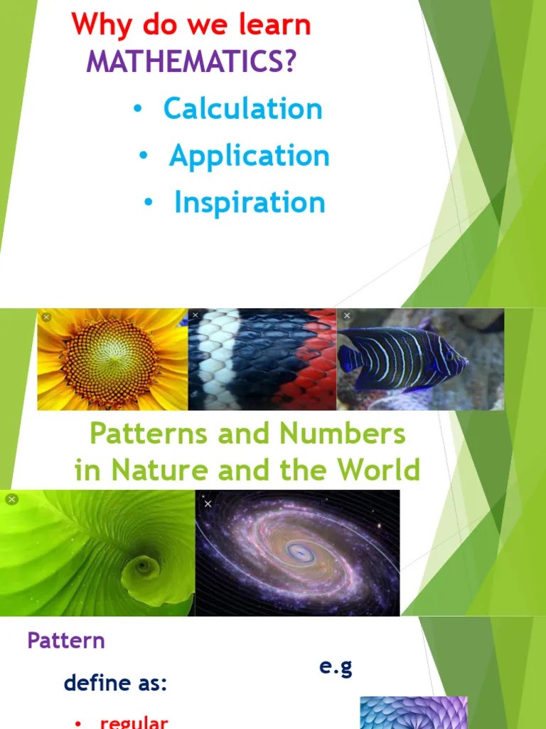 Patterns And Numbers In Nature And The World CH 1.part1 2024 | PDF