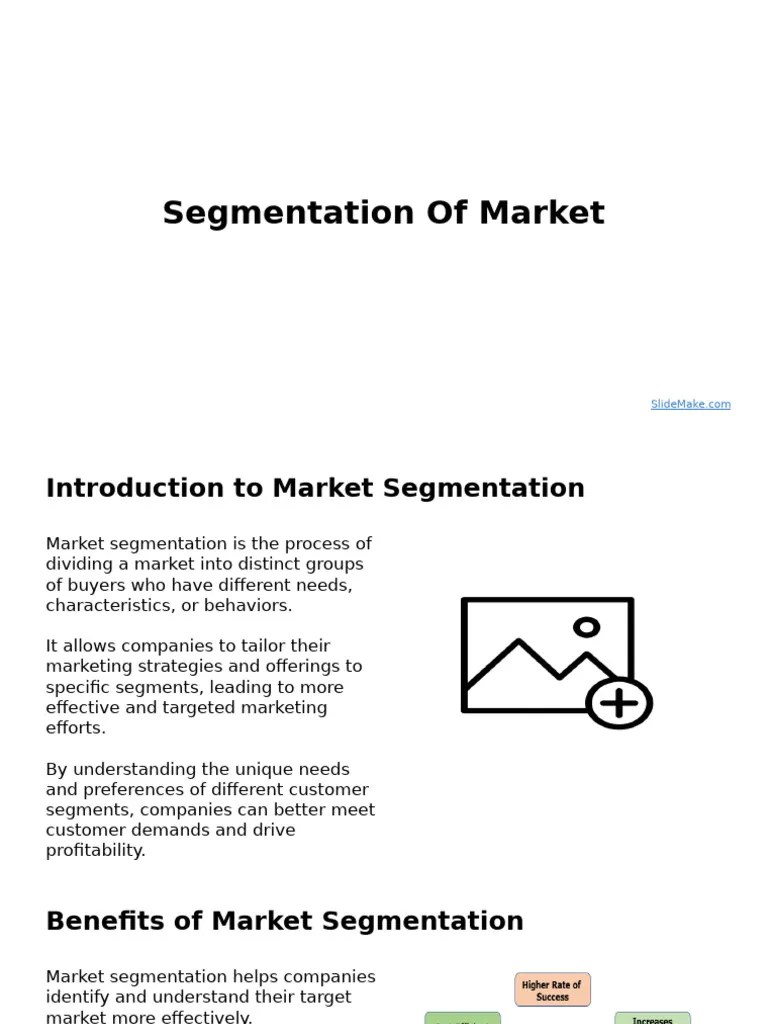 Segmentation Of Market | PDF