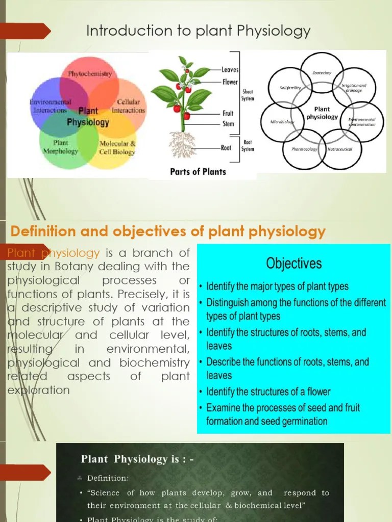 Lecture 1, Introduction Plant Physiology | PDF