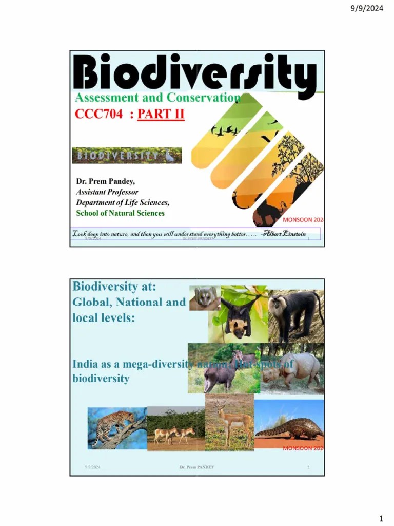 Module 2 Biodiversity Part II Final | PDF