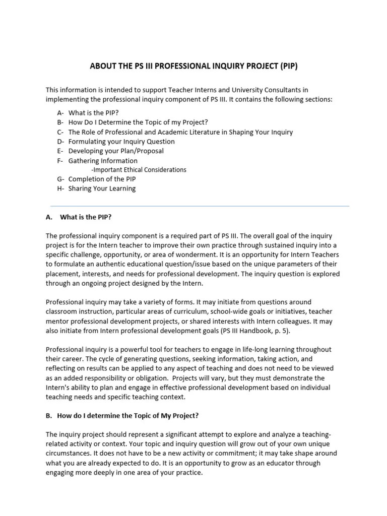 PIP Overview Updated | PDF