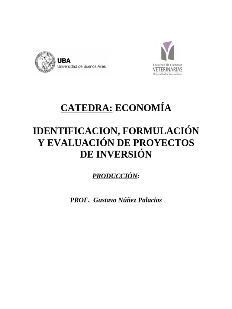 Evaluacion Proyecto De Inversion | PDF