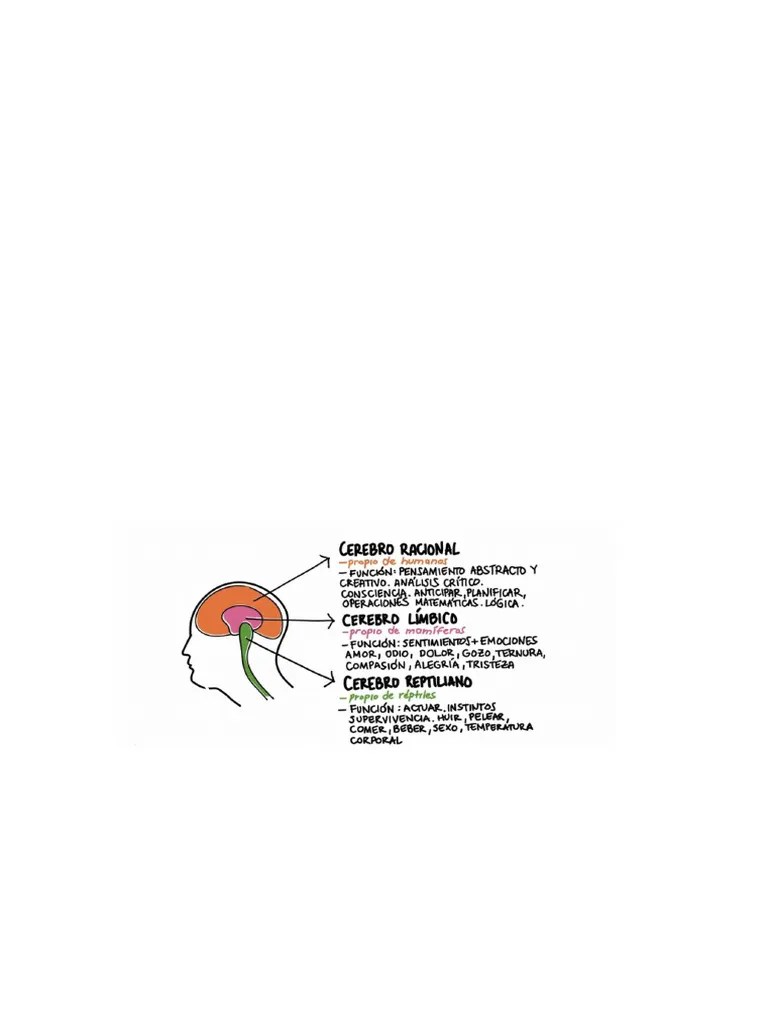 Curso Inteligencia Emocional | PDF