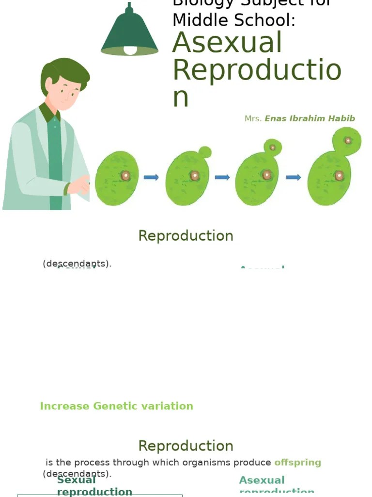 Asexual Reproduction | PDF