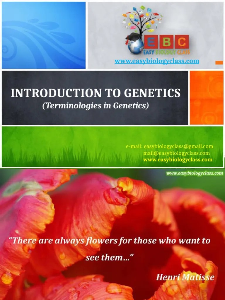 Introduction To Genetics Ppt By Easybiologyclass Pdf