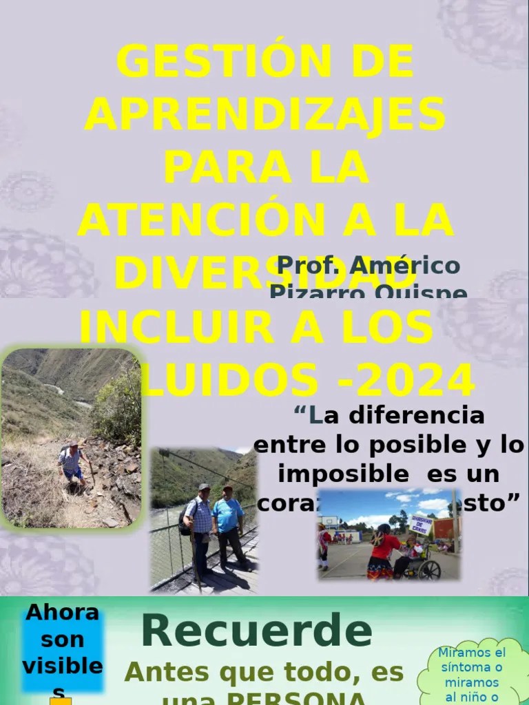 Educación Inclusiva | PDF