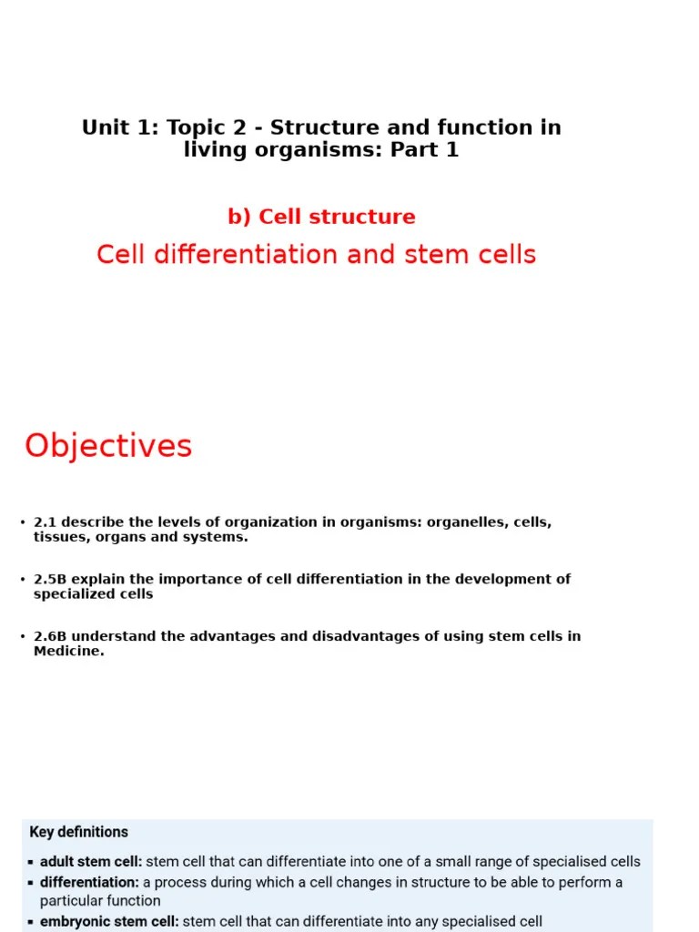 Cell Differentiation And Stem Cells | PDF