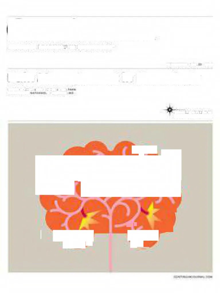 Pain Management In Neurology CONTINUUM OCTOBER 2024 VOL. 30 NO. 5 ...