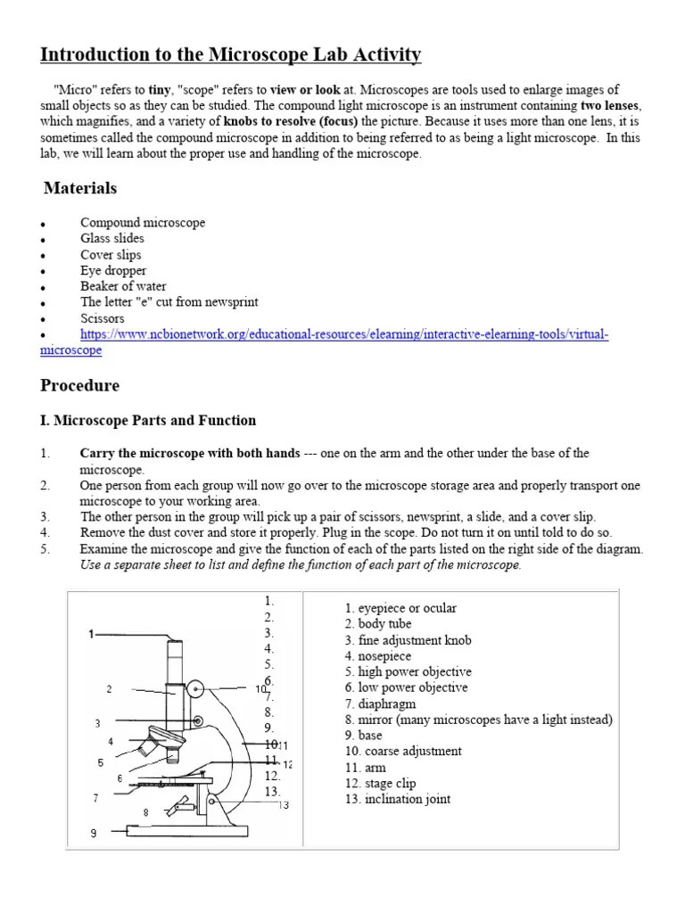 Introduction To The Microscope Lab Activity | PDF