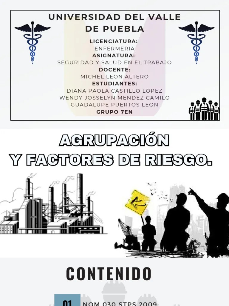 Presentacion Factor De Riesgo | PDF