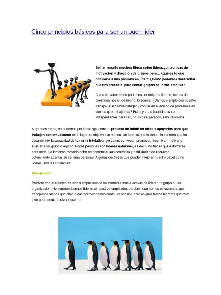 Cinco Principios Básicos Para Ser Un Buen Líder | PDF | Liderazgo | Epistemología