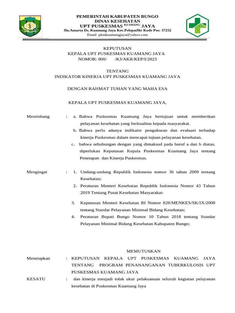 4.1.1.a Sk Indikator Kinerja Puskesmas | PDF