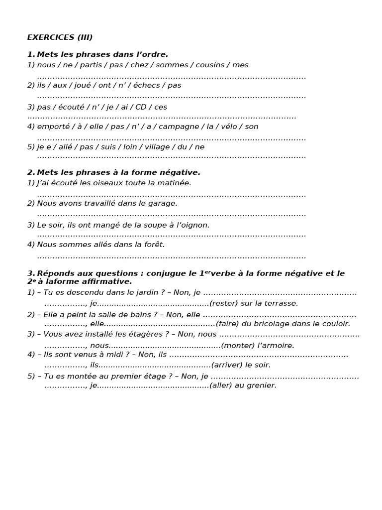 Silvia Gonz Lez Najarro Exercices Passé Composé Iii Et Iv Pdf