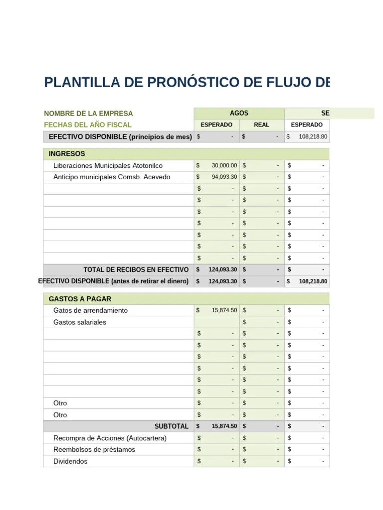 IC 12 Month Cash Flow Forecast 27167 ES | PDF | Economias