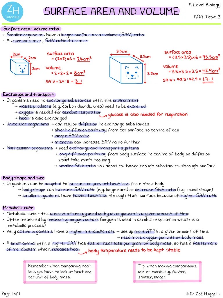 1QA Exchange And Transport (2) | PDF | Heart Valve | Atrium (Heart)