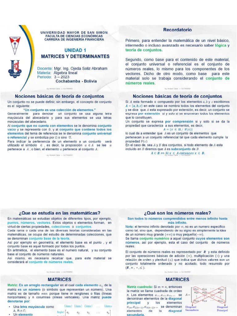 Matrices Y Determinantes | PDF